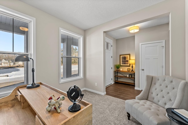 living area featuring a textured ceiling and carpet flooring