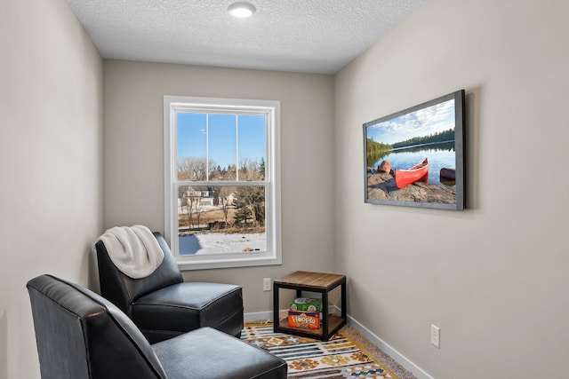 sitting room with a textured ceiling