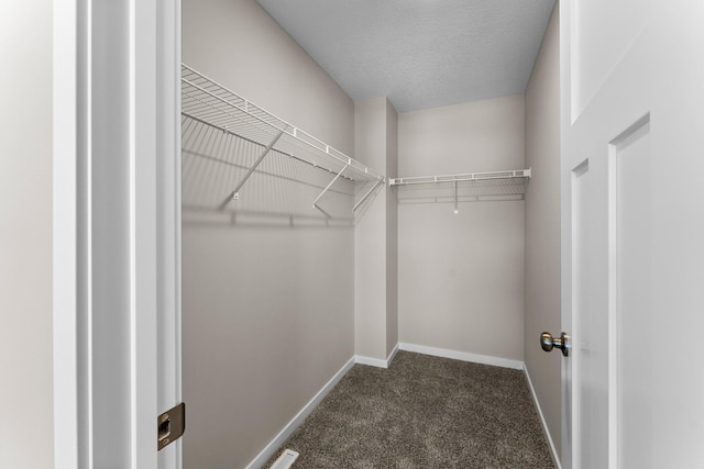 spacious closet with dark colored carpet