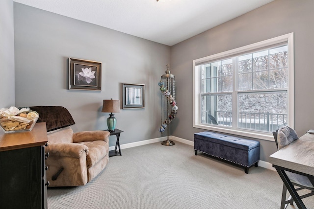 sitting room featuring carpet floors