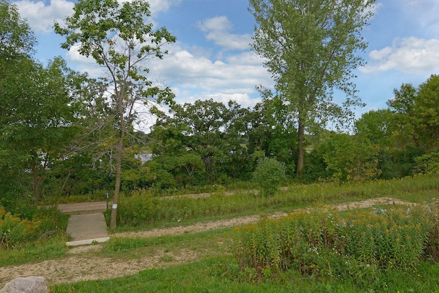 view of local wilderness