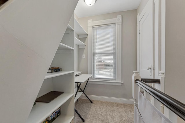 spacious closet featuring light colored carpet