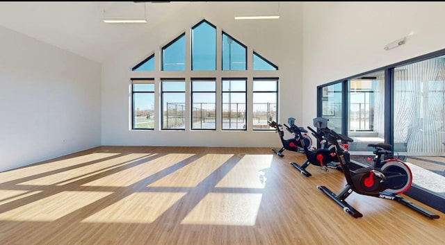 exercise area with light hardwood / wood-style floors and lofted ceiling