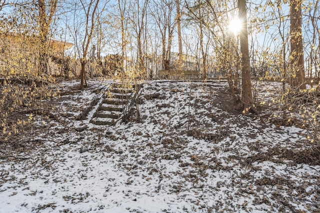 view of yard covered in snow