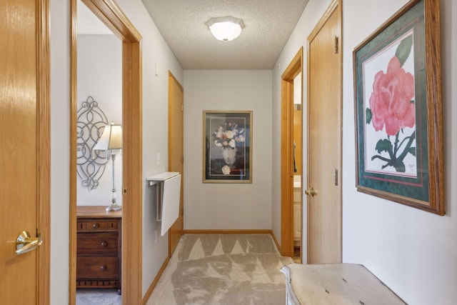 hall featuring light carpet and a textured ceiling