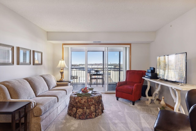 living room with carpet flooring and a textured ceiling