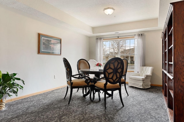 carpeted dining room featuring a raised ceiling and a textured ceiling