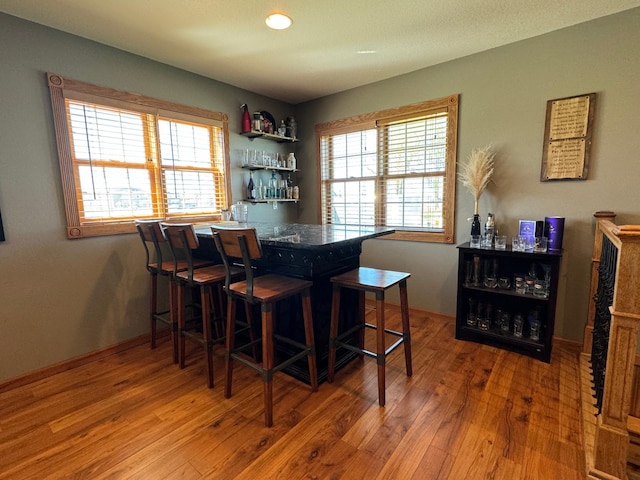 310 7th St SW, Roseau, MN 56751 - bar featuring recessed lighting, a dry bar, and wood finished floors