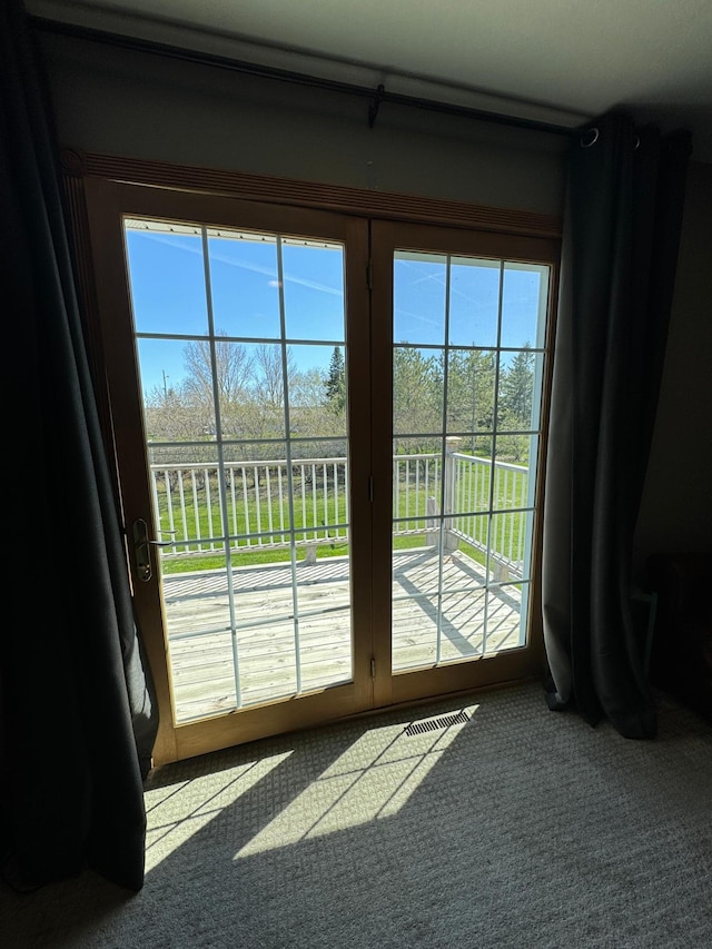 310 7th St SW, Roseau, MN 56751 - entryway with visible vents, carpet floors, and plenty of natural light