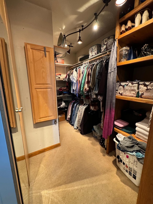 310 7th St SW, Roseau, MN 56751 - walk in closet with carpet