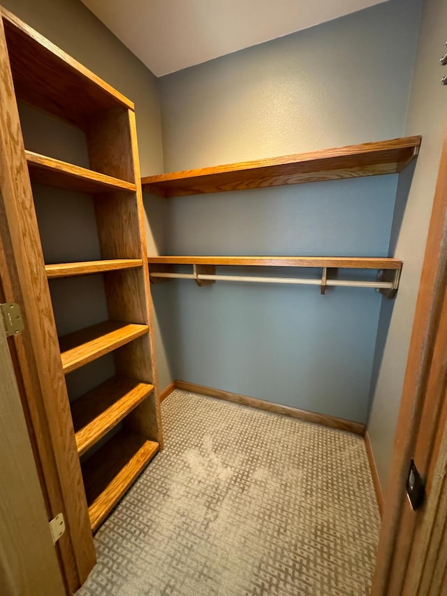 310 7th St SW, Roseau, MN 56751 - walk in closet with carpet floors