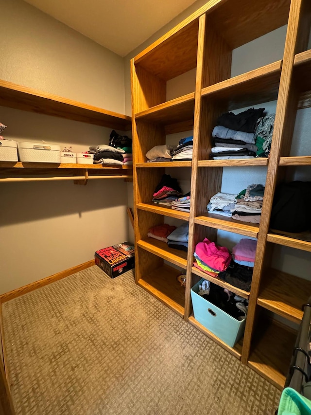 310 7th St SW, Roseau, MN 56751 - view of storage
