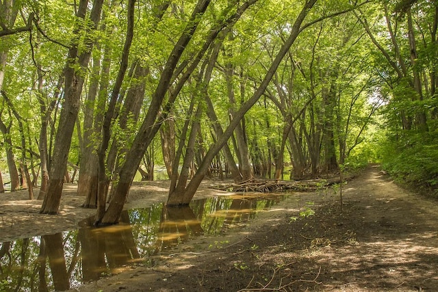 view of landscape with a water view