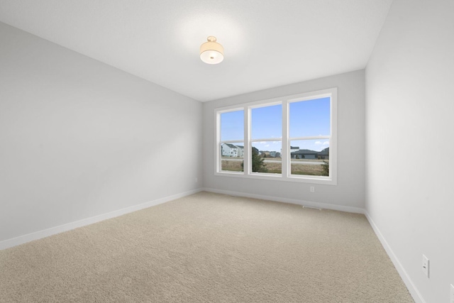 10142 Arrowwood Trl, Woodbury, MN 55129 - empty room featuring baseboards and light carpet