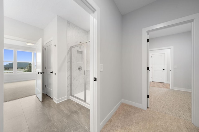10142 Arrowwood Trl, Woodbury, MN 55129 - corridor with carpet flooring and baseboards