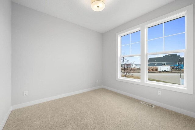 10142 Arrowwood Trl, Woodbury, MN 55129 - carpeted spare room with baseboards