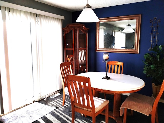 dining room with a wealth of natural light