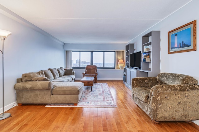 living room featuring light hardwood / wood-style flooring