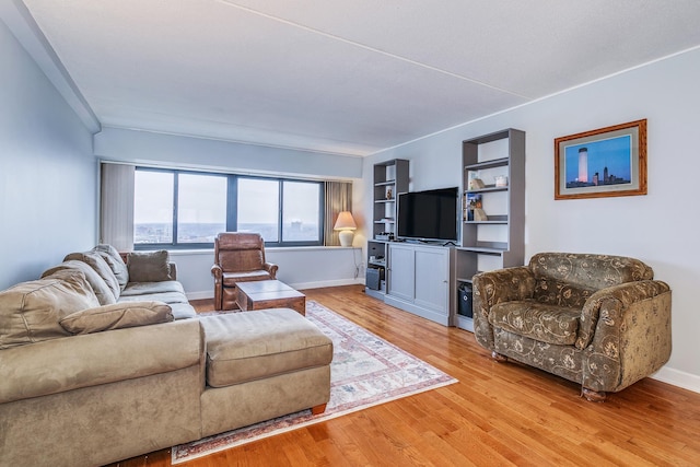 living room with light hardwood / wood-style flooring