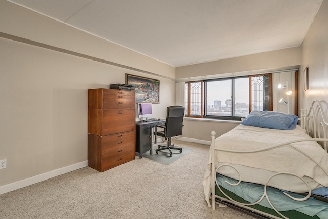 bedroom with carpet floors