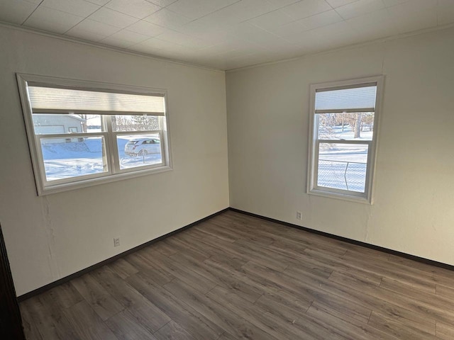 empty room featuring dark hardwood / wood-style floors and a wealth of natural light