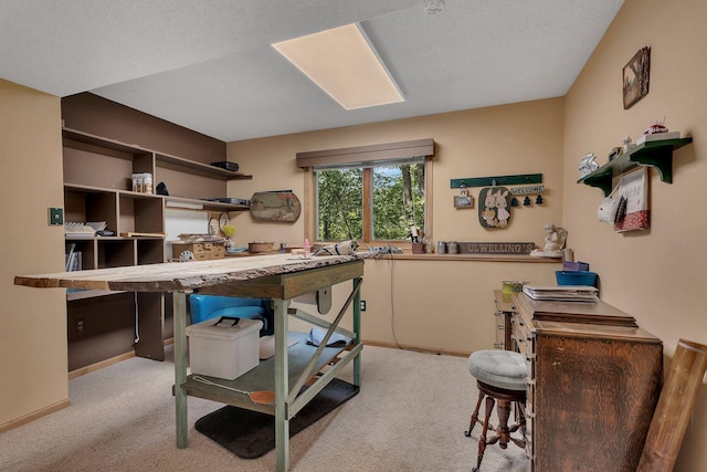 carpeted office with a textured ceiling