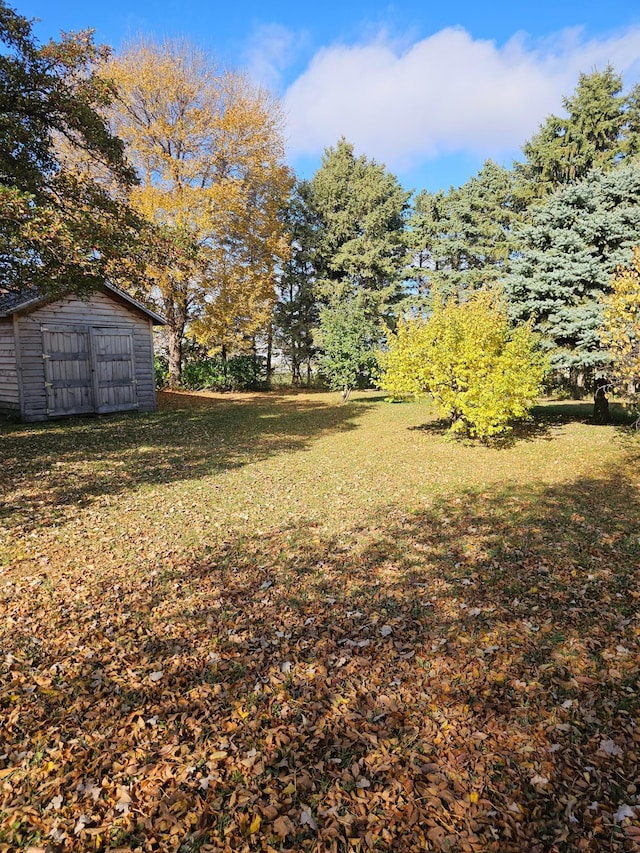 view of yard featuring a storage unit