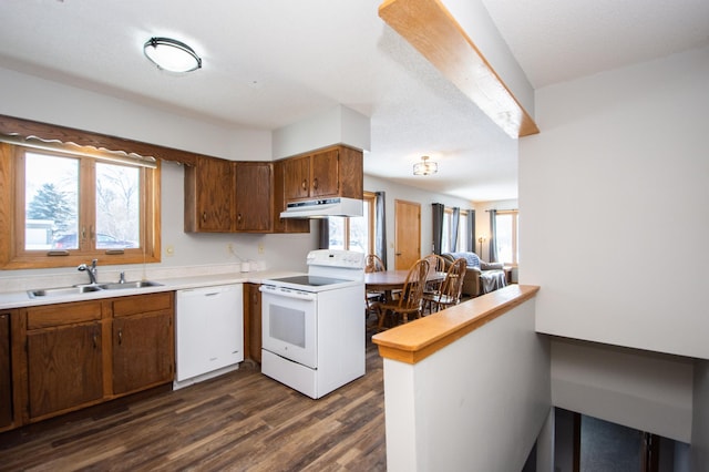 kitchen featuring kitchen peninsula, dark hardwood / wood-style flooring, white appliances, and sink