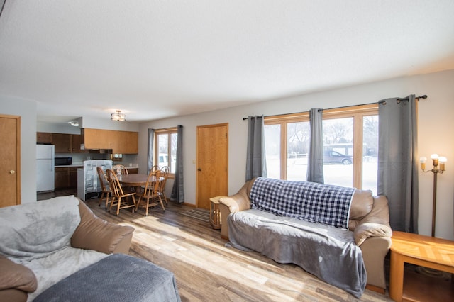 living room with a healthy amount of sunlight and light wood-type flooring