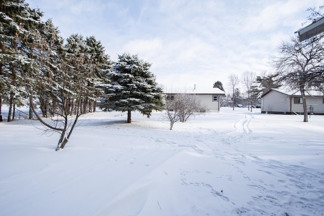 view of yard covered in snow