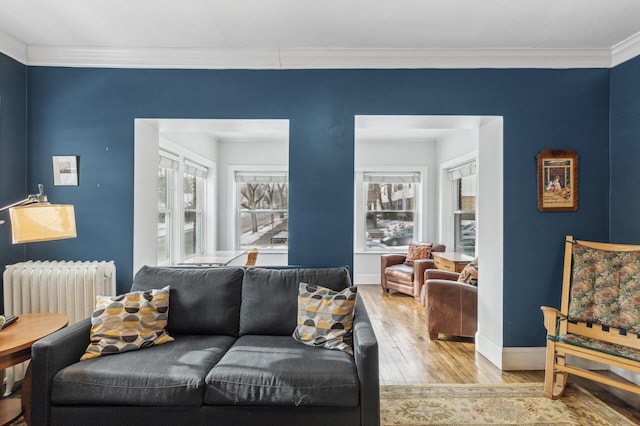 living room with crown molding, radiator heating unit, light hardwood / wood-style floors, and a wealth of natural light