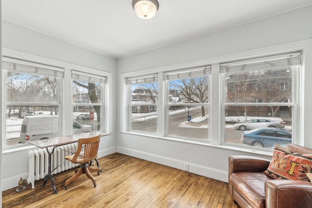 sunroom / solarium with radiator