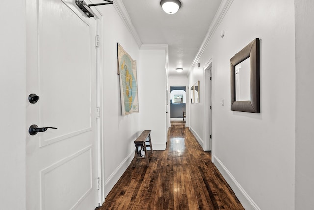 hall with crown molding and dark hardwood / wood-style floors