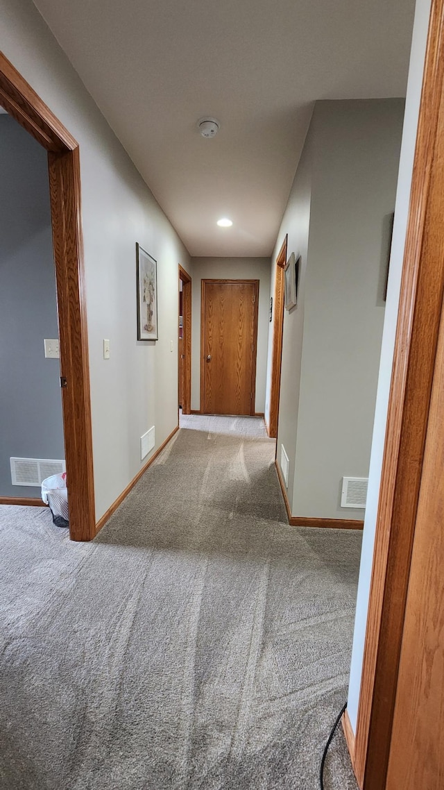 hall with carpet floors