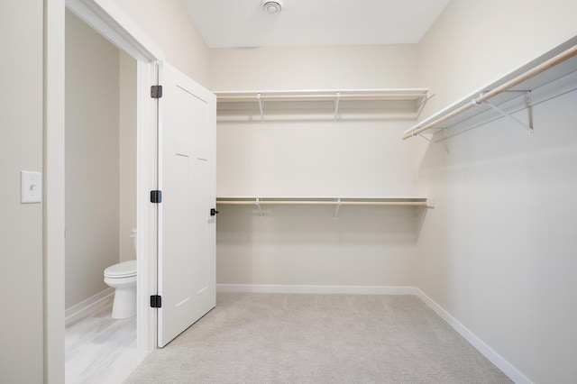 spacious closet with light colored carpet