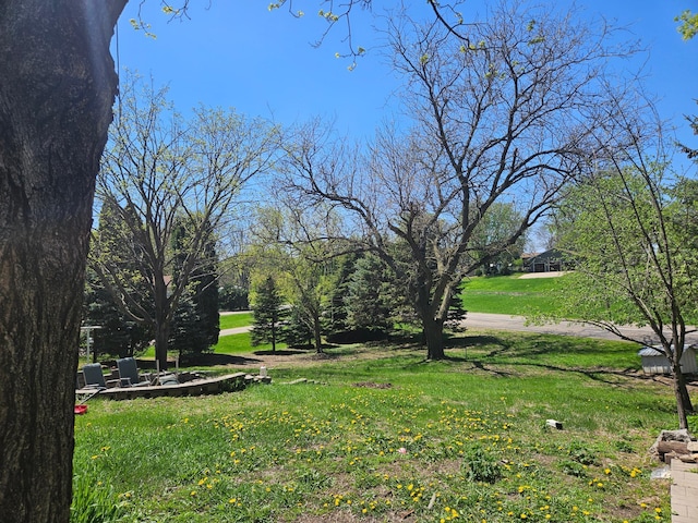 412 Prairie Ave, Faribault, MN 55021 - view of grassy yard