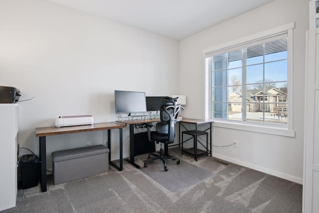 office space featuring carpet floors