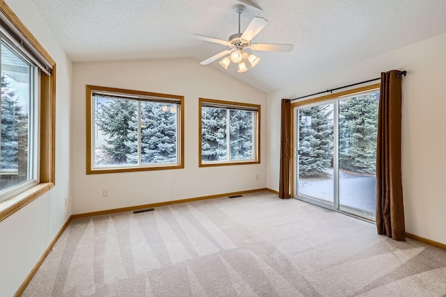 carpeted empty room with a wealth of natural light, lofted ceiling, and a textured ceiling