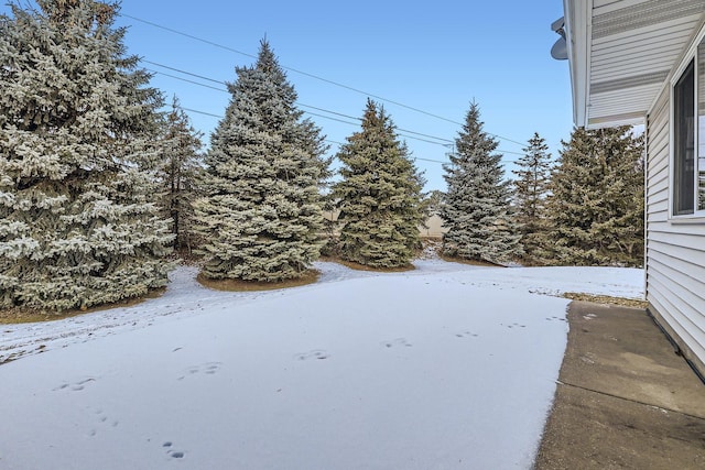 view of yard covered in snow