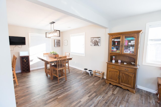 dining area featuring dark wood-type flooring