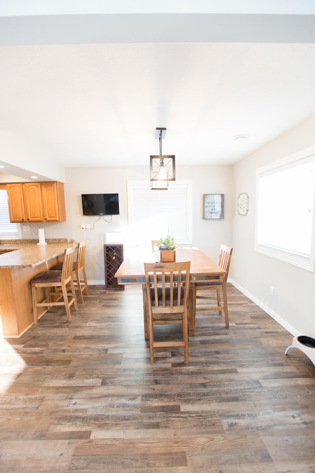 dining area with dark wood-type flooring