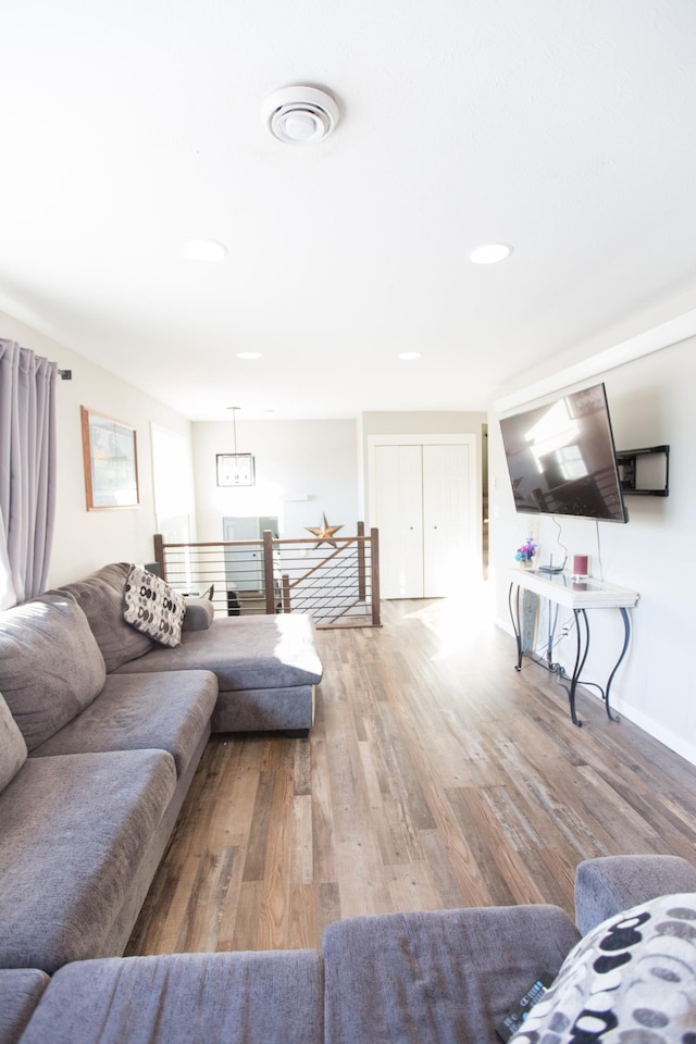 living room with hardwood / wood-style floors