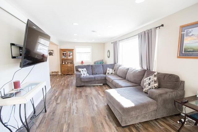 living room featuring wood-type flooring