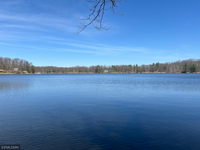 2262 99th St, Georgetown Twp, WI 54853