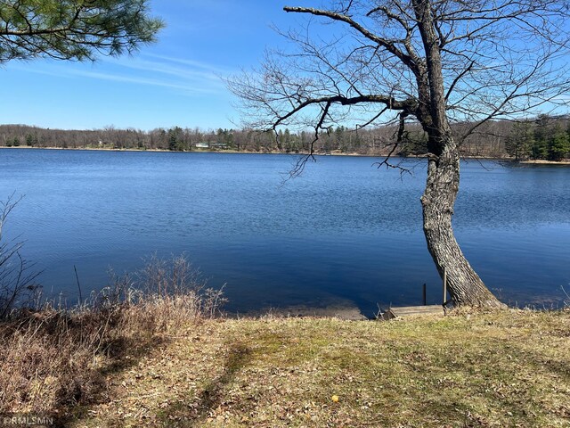 2262 99th St, Georgetown Twp, WI 54853
