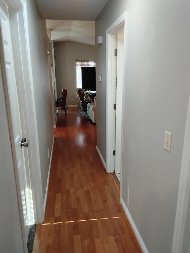 hallway with dark wood-type flooring