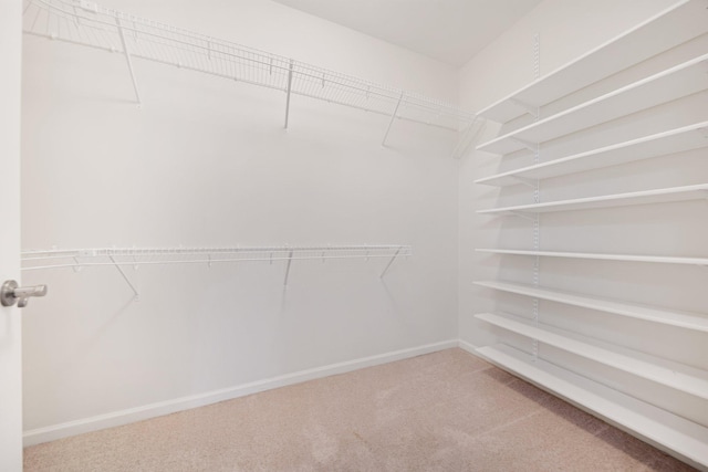 500 Grant St Unit 204, Minneapolis, MN 55404 - walk in closet with carpet floors
