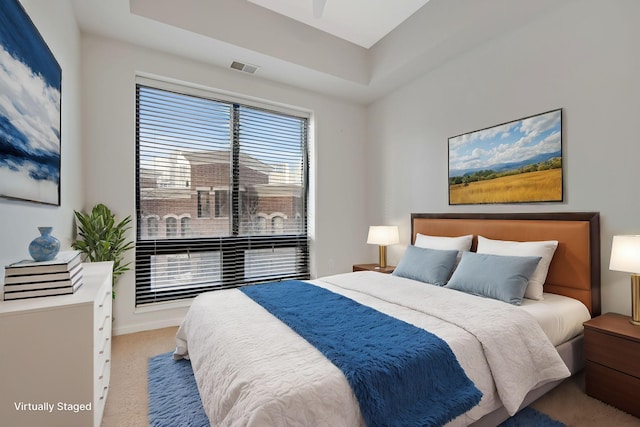 500 Grant St Unit 204, Minneapolis, MN 55404 - bedroom with carpet and a raised ceiling