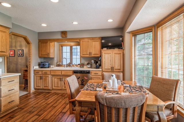 kitchen featuring dark hardwood / wood-style flooring, sink, stainless steel dishwasher, and a textured ceiling