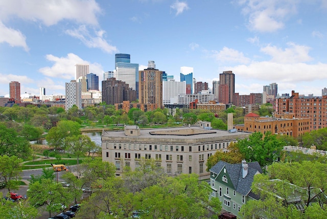 510 Groveland Ave Unit 502, Minneapolis, MN 55403 - skyline view